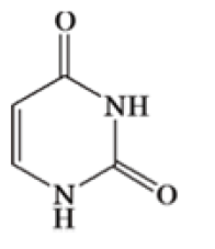 1: Uracil